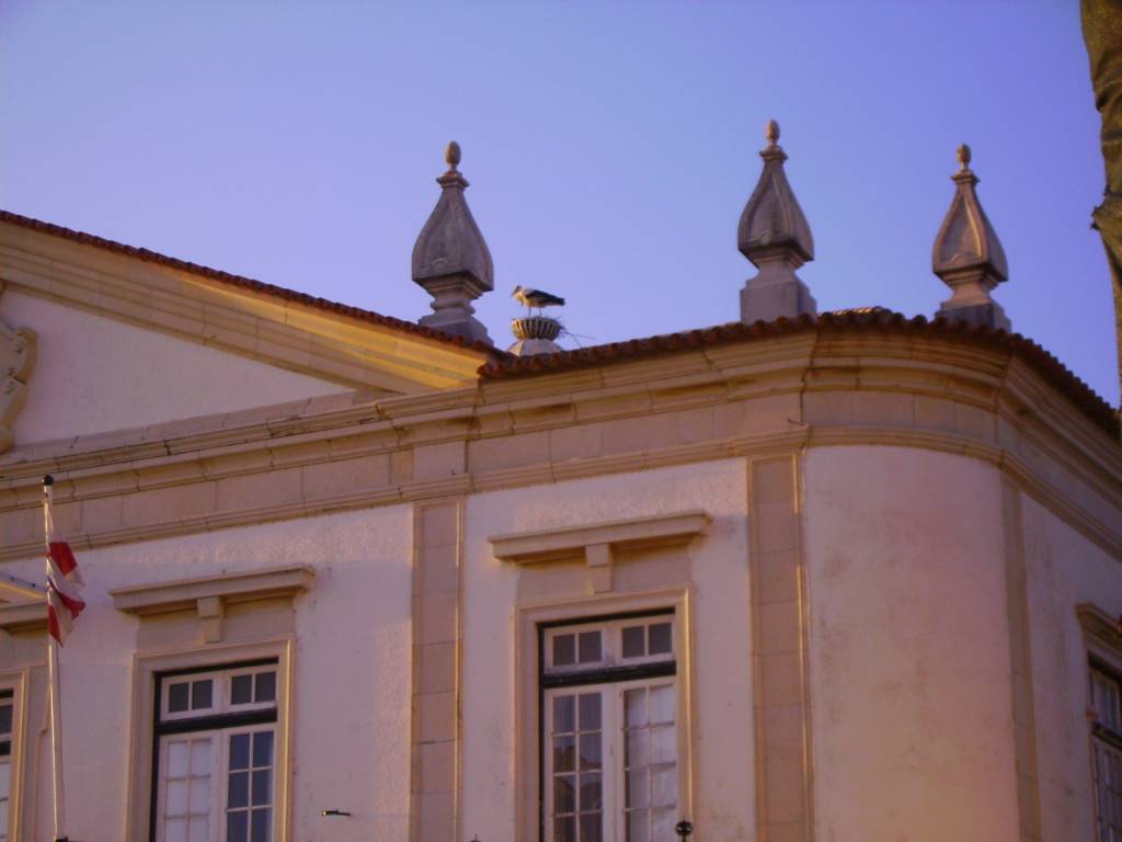 Faro Museo Faro Ciguena