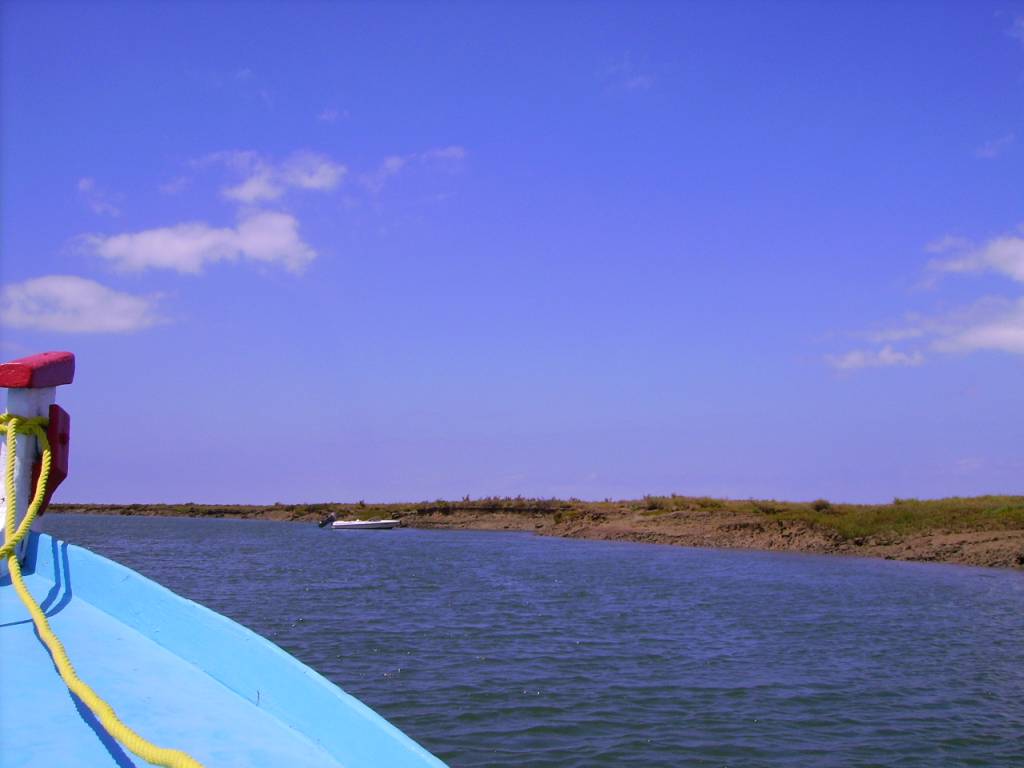 Faro Excursion En Barca Por La Ria Formosa