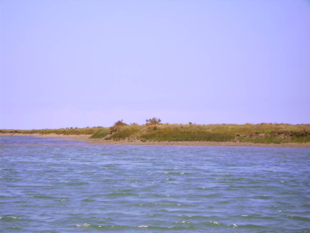 Faro Ria Formosa 