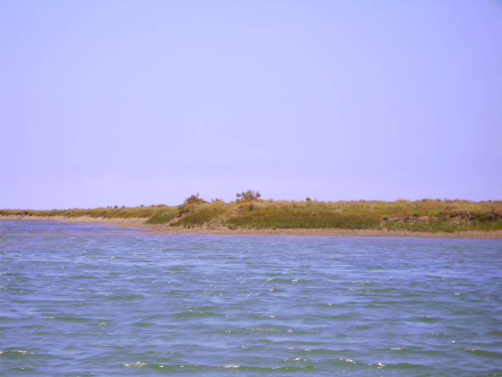 Faro Ria Formosa 