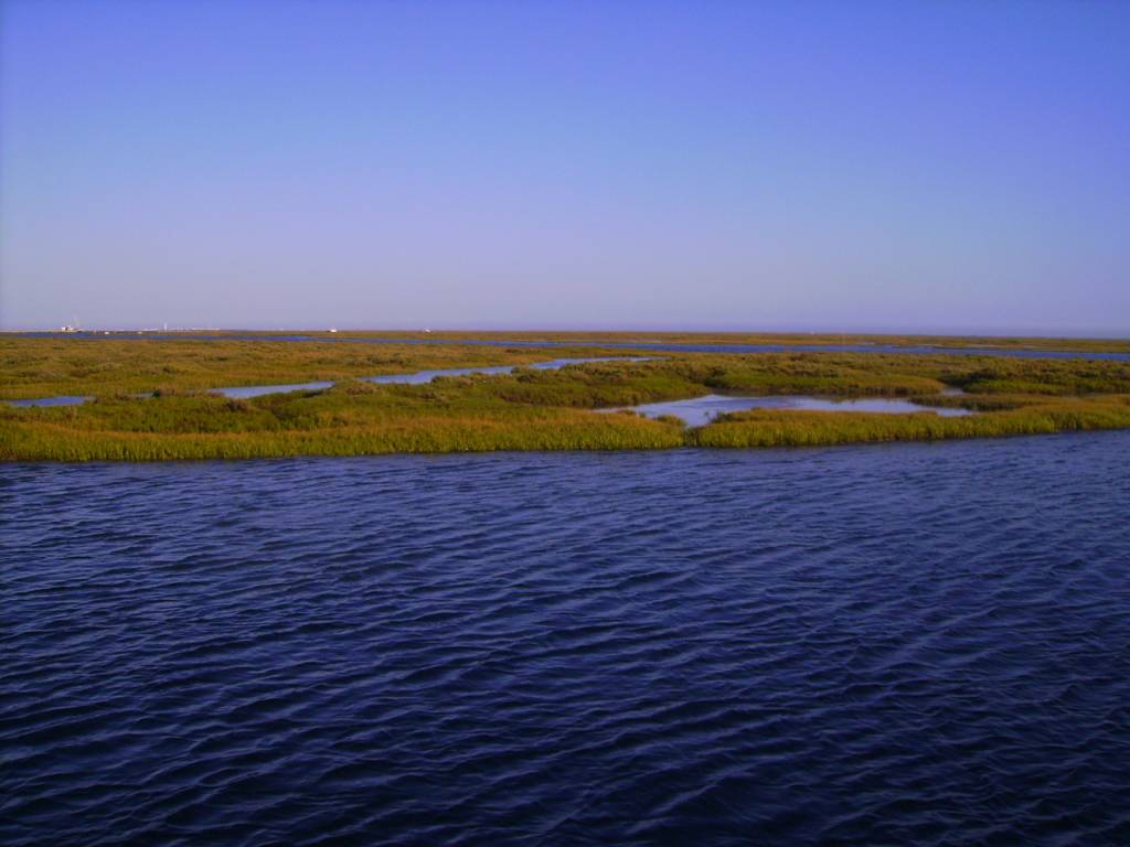 Faro Ria Formosa 