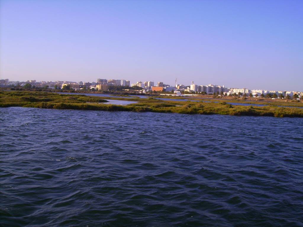 Faro Ria Formosa 