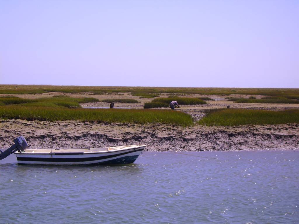 Faro Ria Formosa Barca