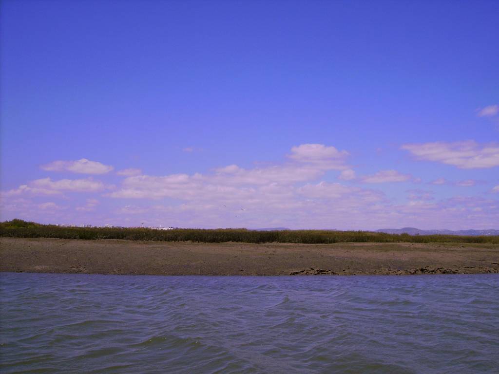 Faro Ria Formosa Barros