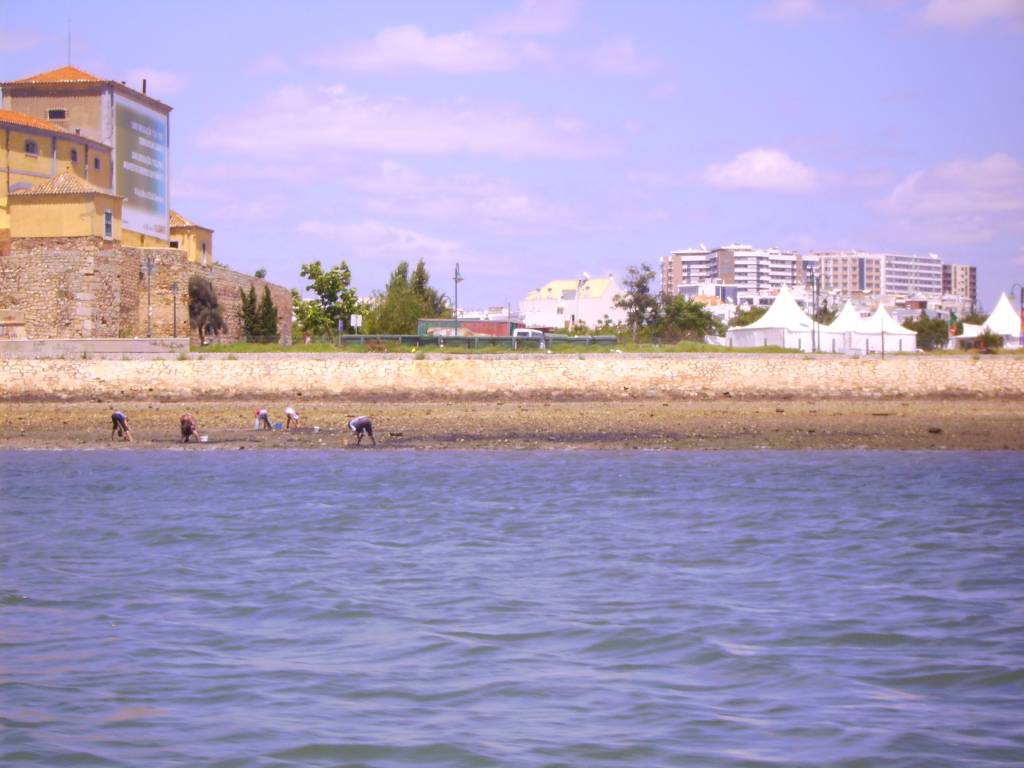 Faro Ria Formosa Mariscadores