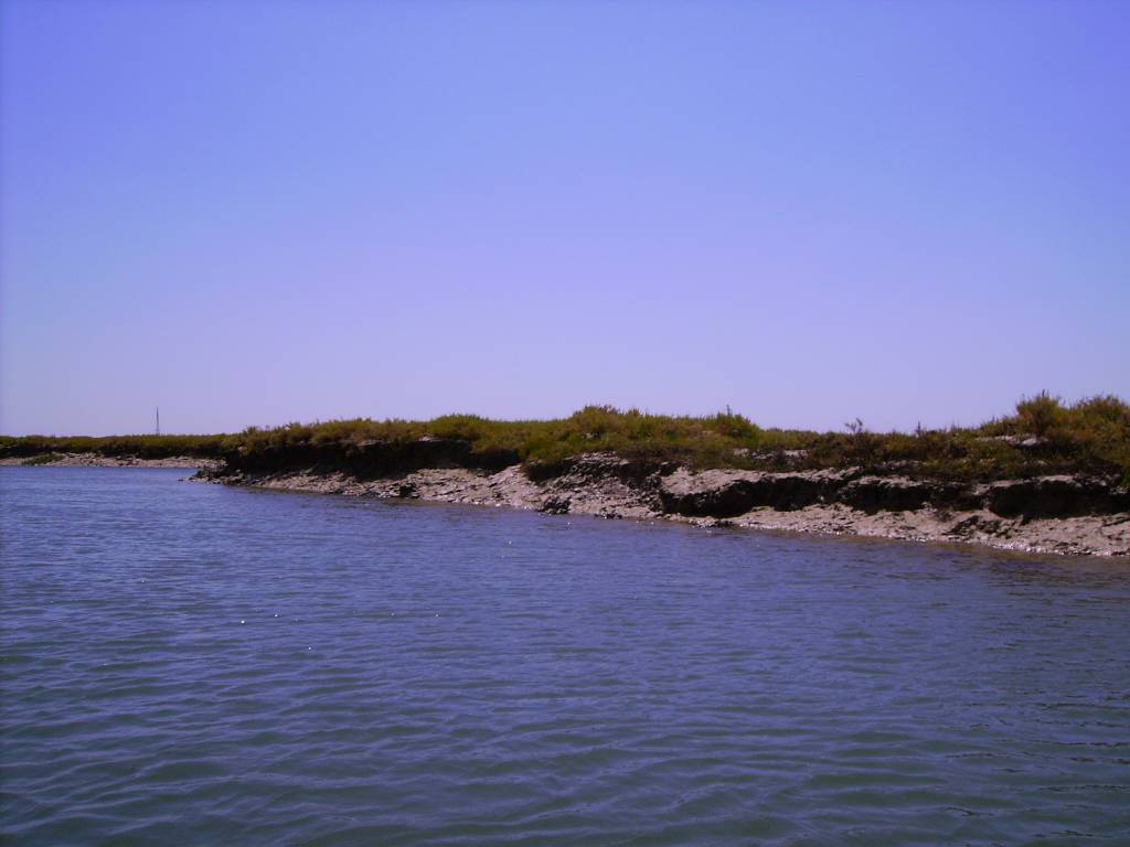 Faro Ria Formosa Orillas Lodo