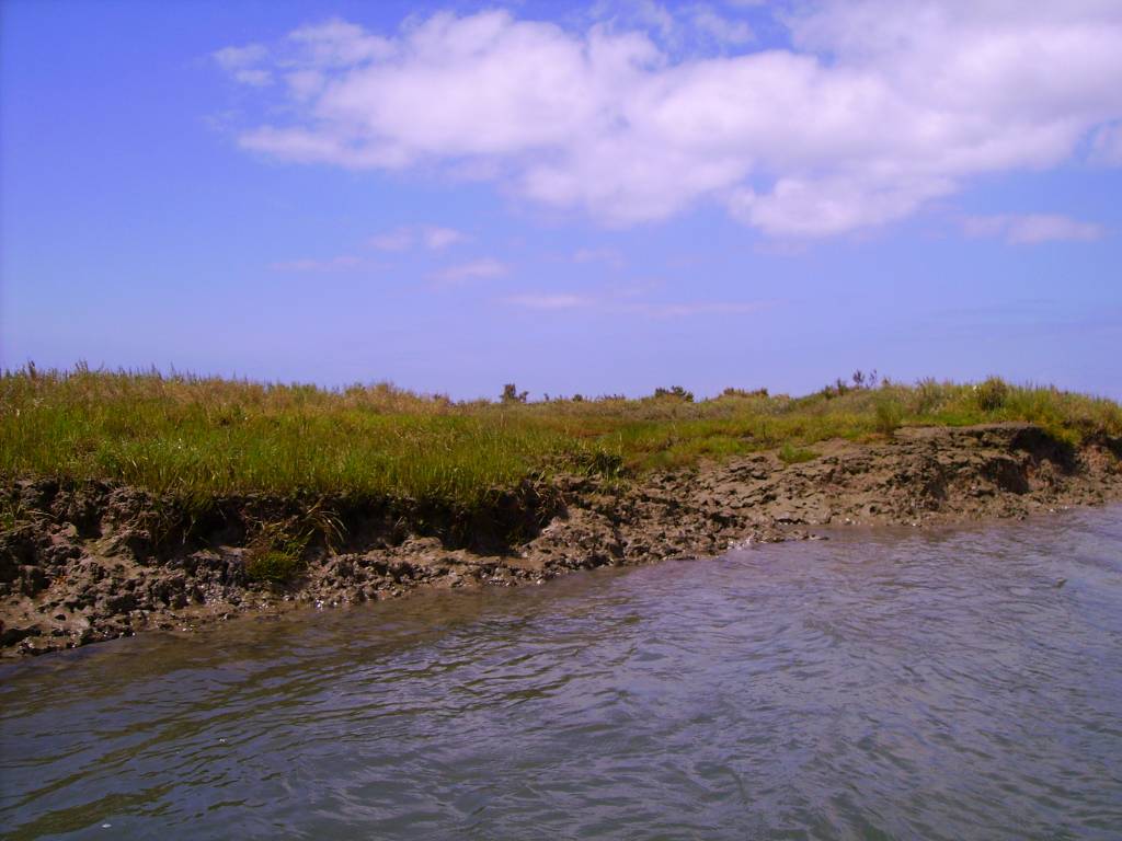 Faro Ria Formosa Orillas Lodo 