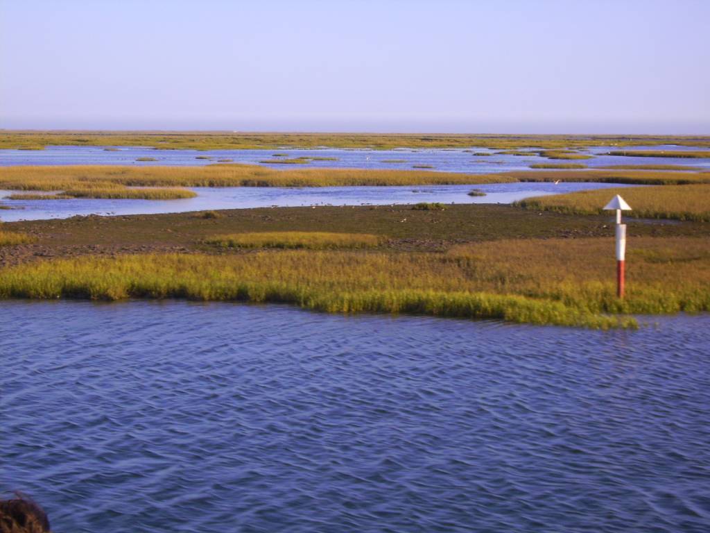 Faro Ria Formosa Praderas