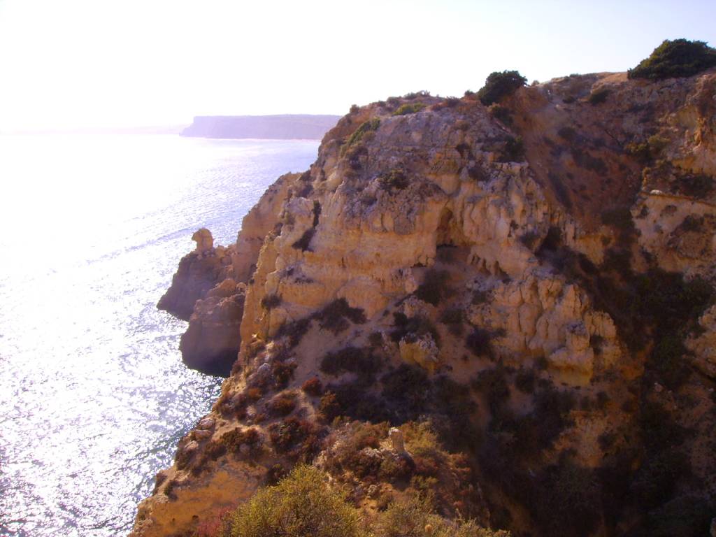 Lagos Punta De La Piedad Vistas