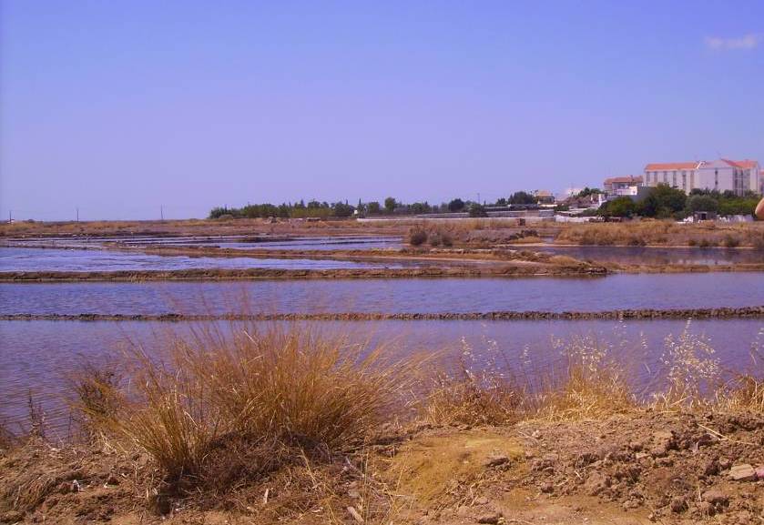 Tavira Salinas 