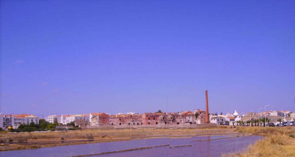 Tavira Salinas 