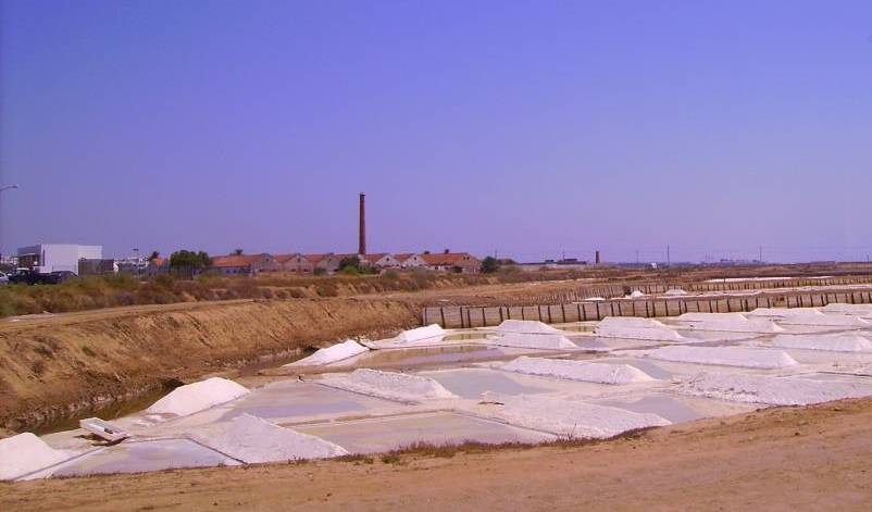 Tavira Salinas 