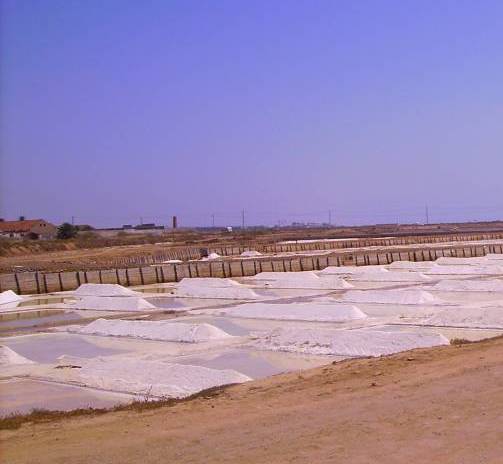 Tavira Salinas 