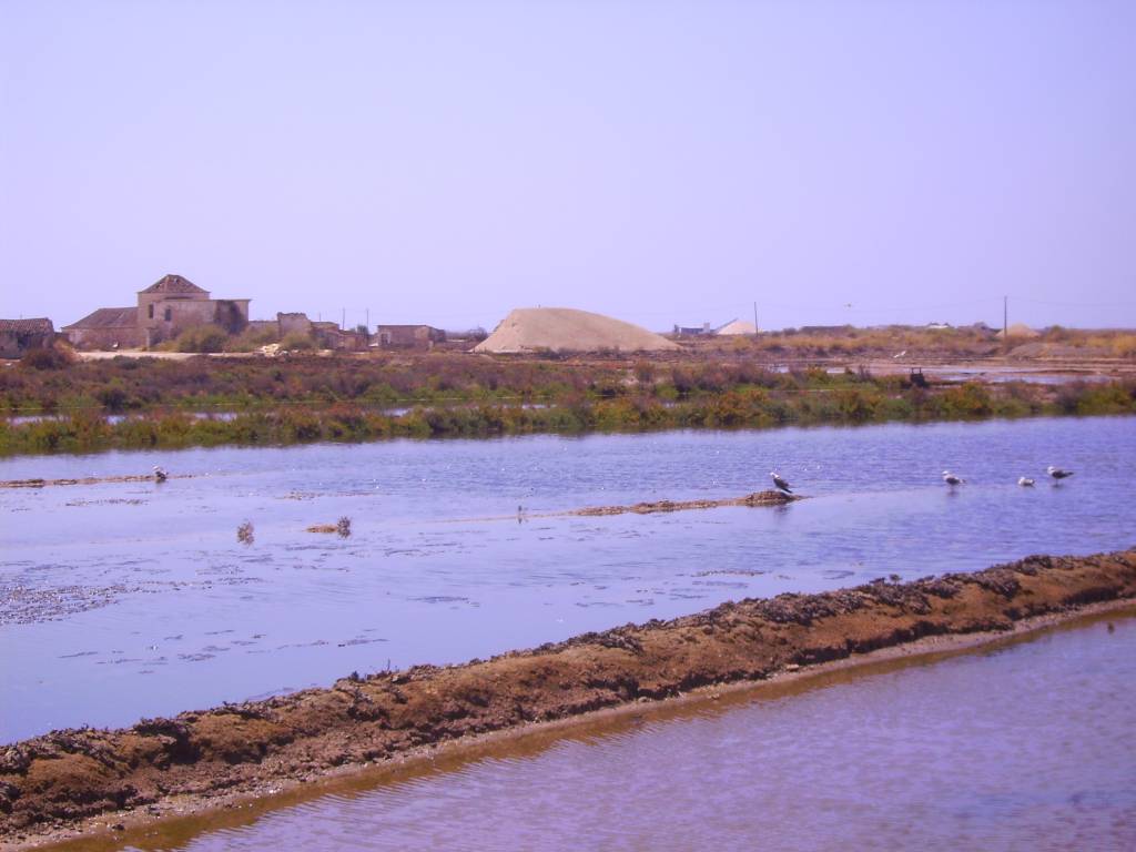 Tavira Salinas 